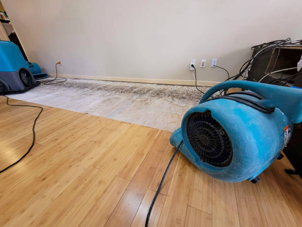 Professional Water Damage Repair technician working in Oglesby, IL
